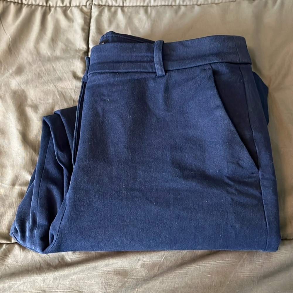 JCrew Factory Kallie Pant Antique Navy Size 10